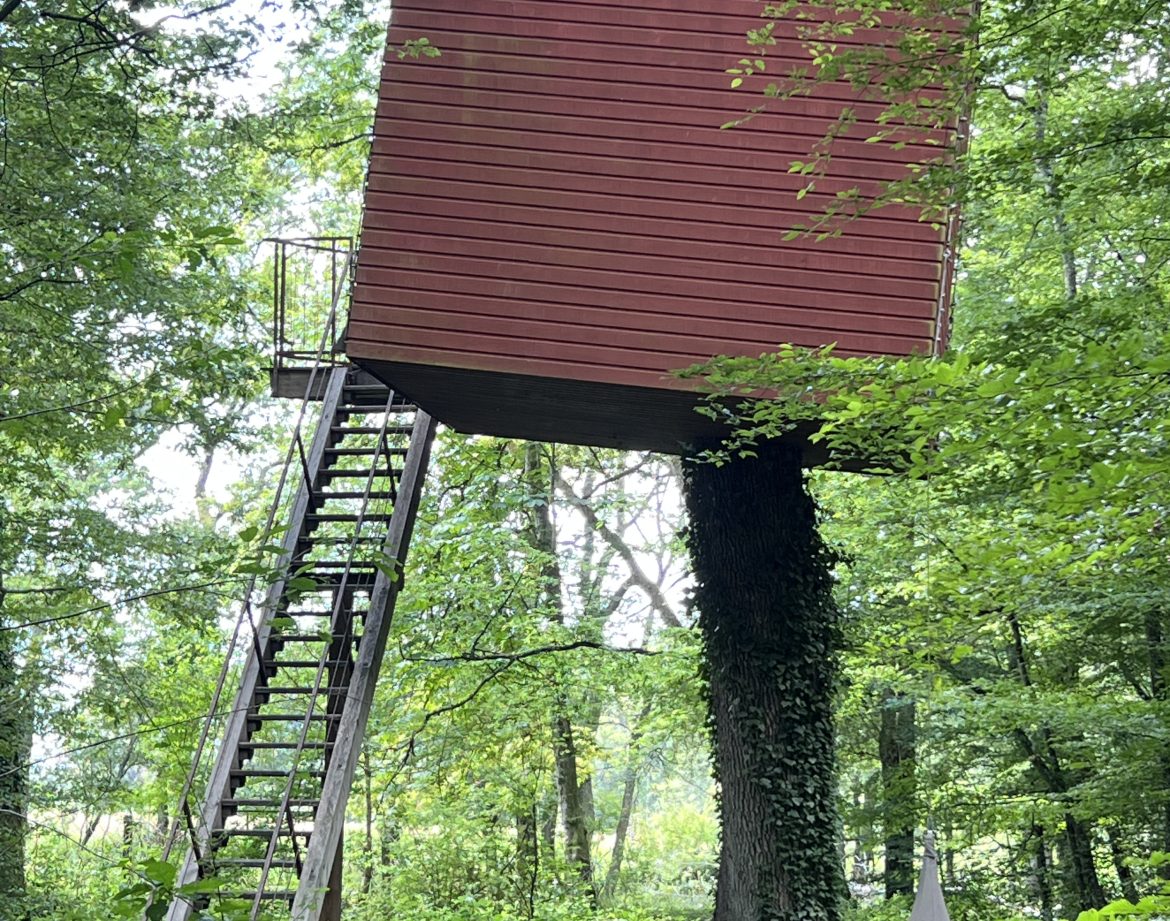 Cabane perchée en bois dans les arbres, accessible par une échelle en métal.