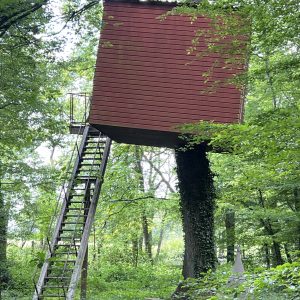 Cabane perchée en bois dans les arbres, accessible par une échelle en métal.