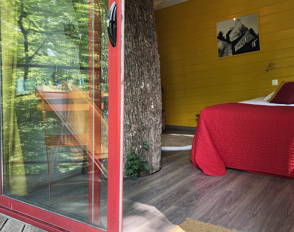 Cabane insolite en Bourgogne, avec un arbre traversant la pièce et une vue sur la nature.