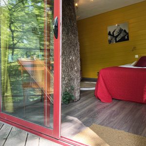 Cabane insolite en Bourgogne, avec un arbre traversant la pièce et une vue sur la nature.