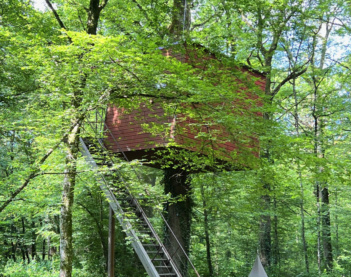Cabane dans les arbres en Bourgogne, perchée au milieu dune verdure luxuriante.