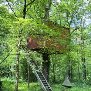 Cabane dans les arbres en Bourgogne, perchée au milieu dune verdure luxuriante.