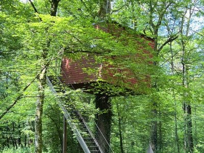 Cabane dans les arbres en Bourgogne, perchée au milieu dune verdure luxuriante.