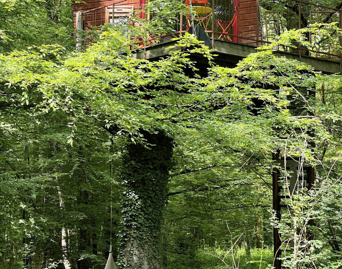 Cabane perchée dans les arbres en Bourgogne, entourée de verdure luxuriante.
