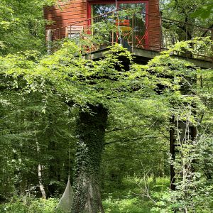 Cabane perchée dans les arbres en Bourgogne, entourée de verdure luxuriante.