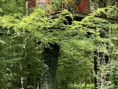 Cabane perchée dans les arbres en Bourgogne, entourée de verdure luxuriante.