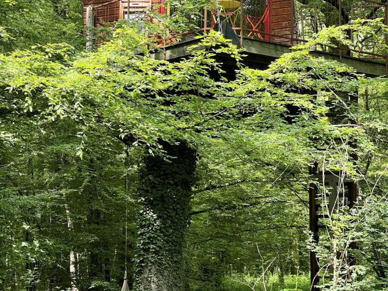 Cabane dans les arbres, perchée au milieu dune verdure luxuriante.