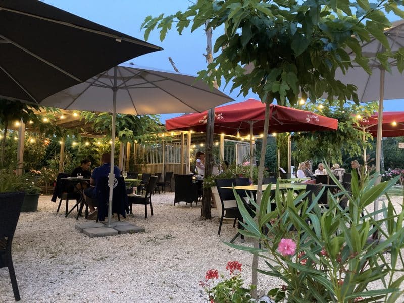 Terrasse de restaurant avec parasols, ambiance chaleureuse et verdure apaisante.