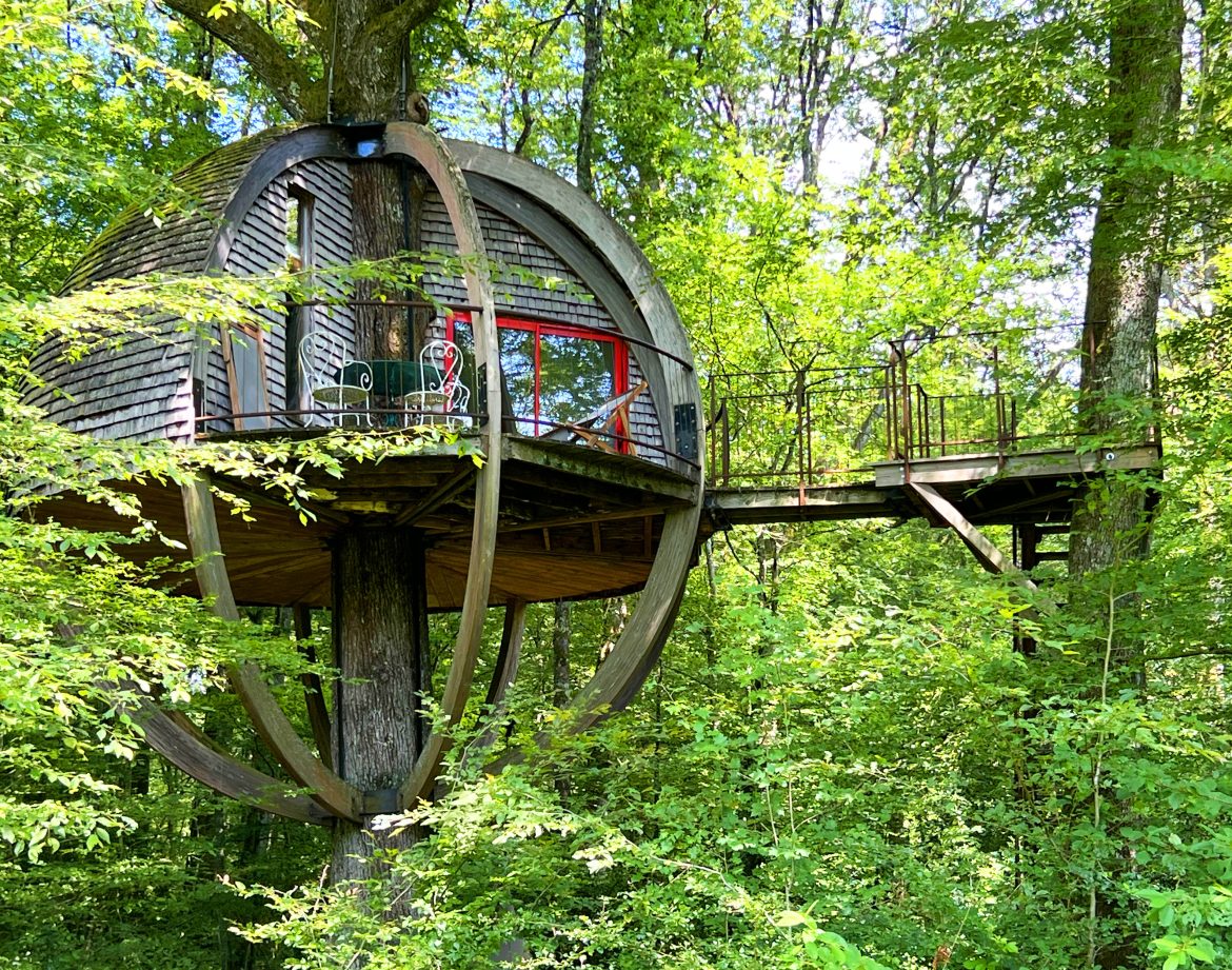 Cabane suspendue en bois, perchée dans les arbres, entourée de verdure luxuriante.