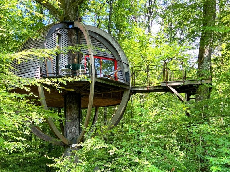 Cabane suspendue en bois, perchée dans les arbres, entourée de verdure luxuriante.