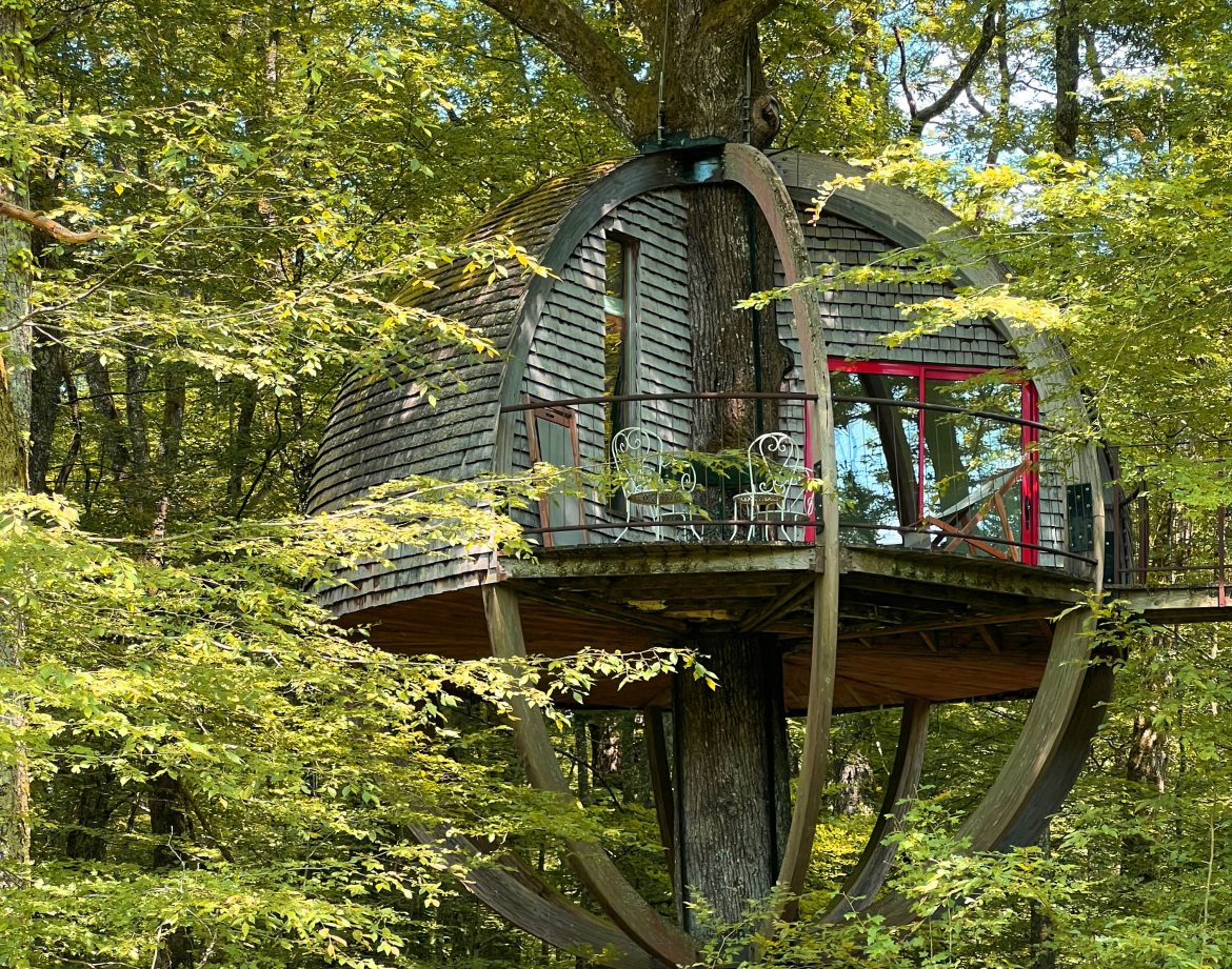 Cabane perchée dans un arbre en Bourgogne, entourée de verdure luxuriante.