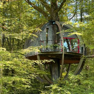 Cabane perchée dans un arbre en Bourgogne, entourée de verdure luxuriante.