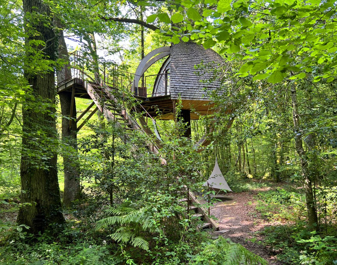 Cabane perchée en bois dans les arbres, entourée de verdure luxuriante en Bourgogne.