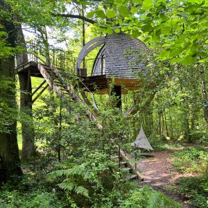 Cabane perchée en bois dans les arbres, entourée de verdure luxuriante en Bourgogne.
