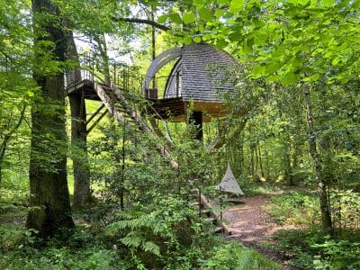 Cabane perchée en bois dans les arbres, entourée de verdure luxuriante en Bourgogne.