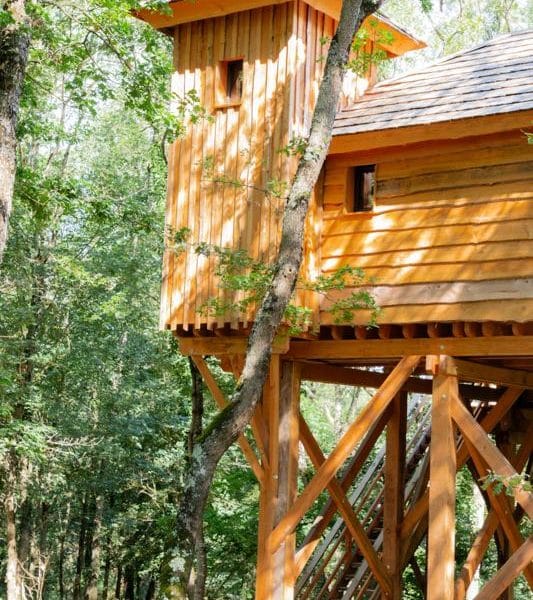 Cabane dans les arbres en bois, perchée au milieu dune forêt verdoyante.