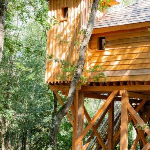Cabane perchée en bois, entourée darbres verdoyants à Midi-Pyrénées.