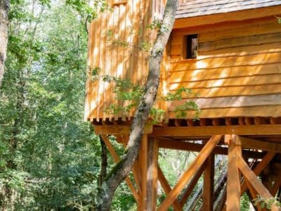 Cabane perchée en bois, entourée darbres verdoyants à Midi-Pyrénées.