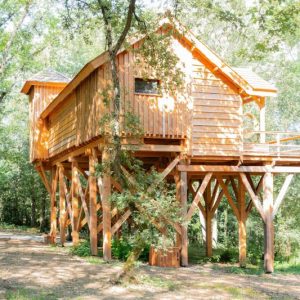 Cabane perchée en bois dans les arbres, entourée de verdure à Midi-Pyrénées.