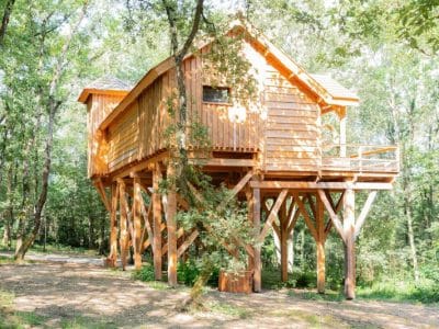 Cabane perchée en bois dans les arbres, entourée de verdure à Midi-Pyrénées.