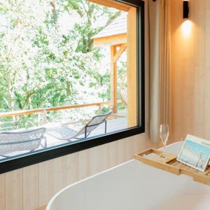 Hébergement insolite en Midi-Pyrénées : baignoire avec vue sur la nature verdoyante.