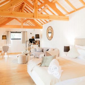 Chalet moderne en Midi-Pyrénées, avec poutres apparentes et décoration chaleureuse.