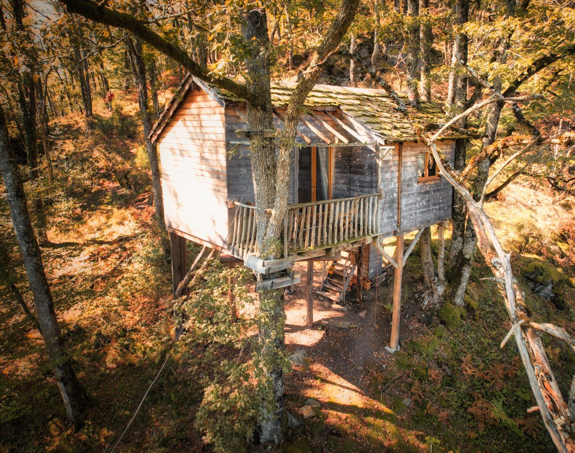 Cabane perchée dans les arbres, entourée de verdure et de lumière naturelle.