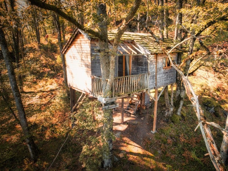 Cabane perchée dans les arbres, entourée de verdure et de lumière naturelle.