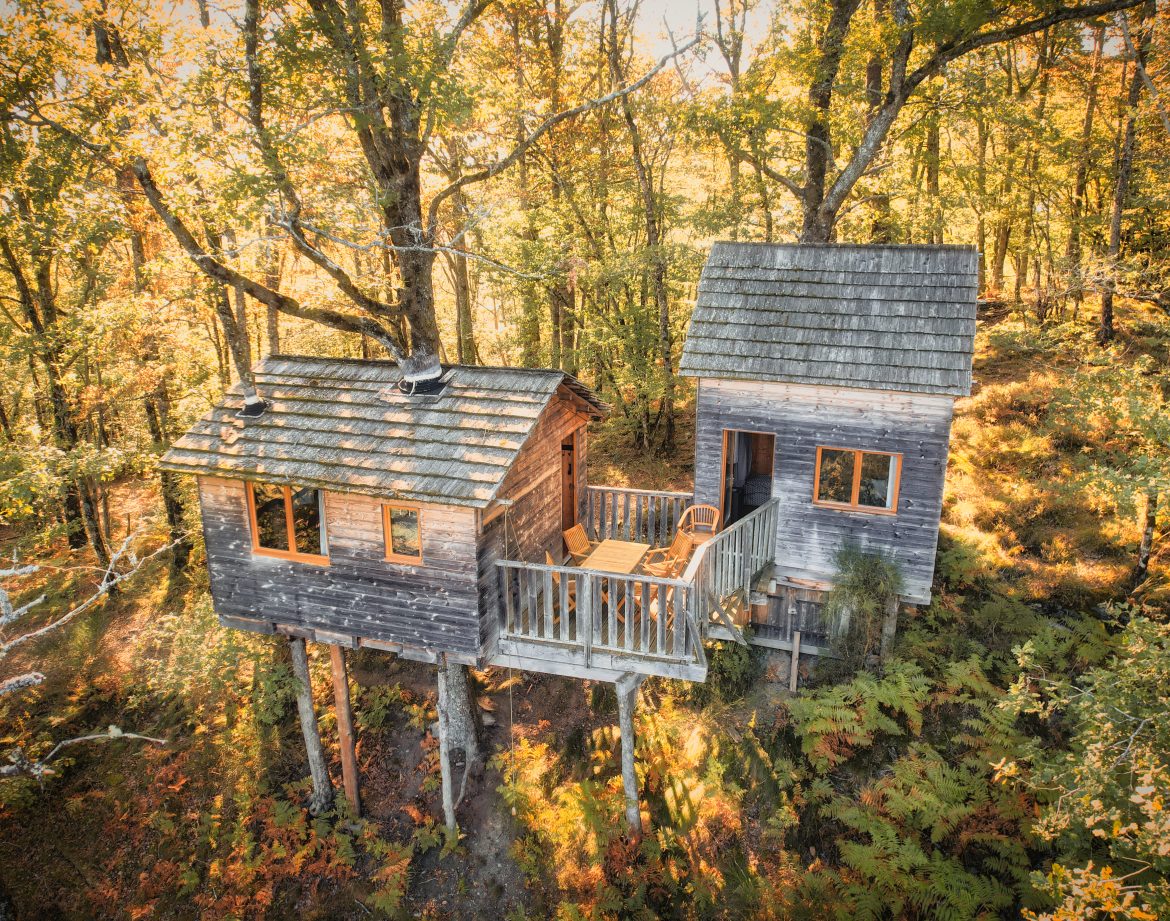 Cabane perchée dans les arbres, entourée de feuillage doré en Limousin.