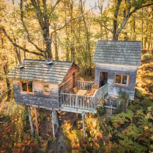 Cabane perchée dans les arbres, entourée de feuillage doré en Limousin.