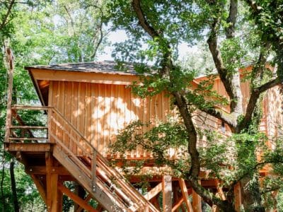 Cabane perchée en bois, entourée darbres verdoyants à Midi-Pyrénées.
