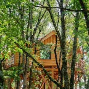 resized_allysonlaffittephotographe-83