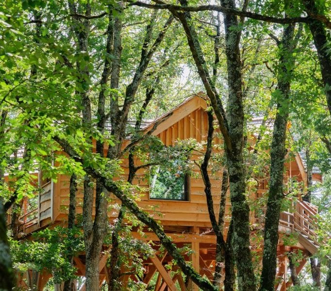 Cabane perchée en bois, nichée parmi les arbres verdoyants.