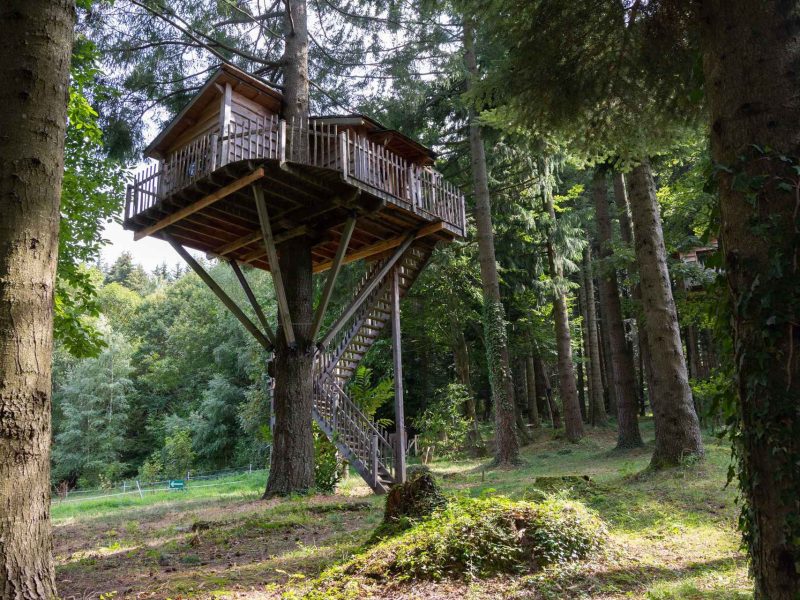 Cabane dans les arbres, perchée au milieu dune forêt verdoyante et paisible.