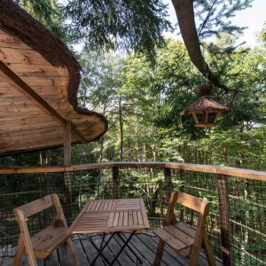 version-internet-49-hibou-1