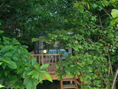 Cabane perchée en bois, nichée dans la verdure, avec une terrasse accueillante.