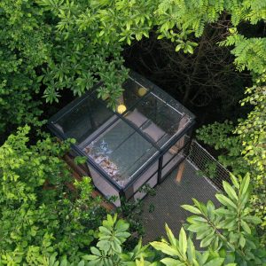 ©J.Estrade-Spirubulle-0071-1-scaled