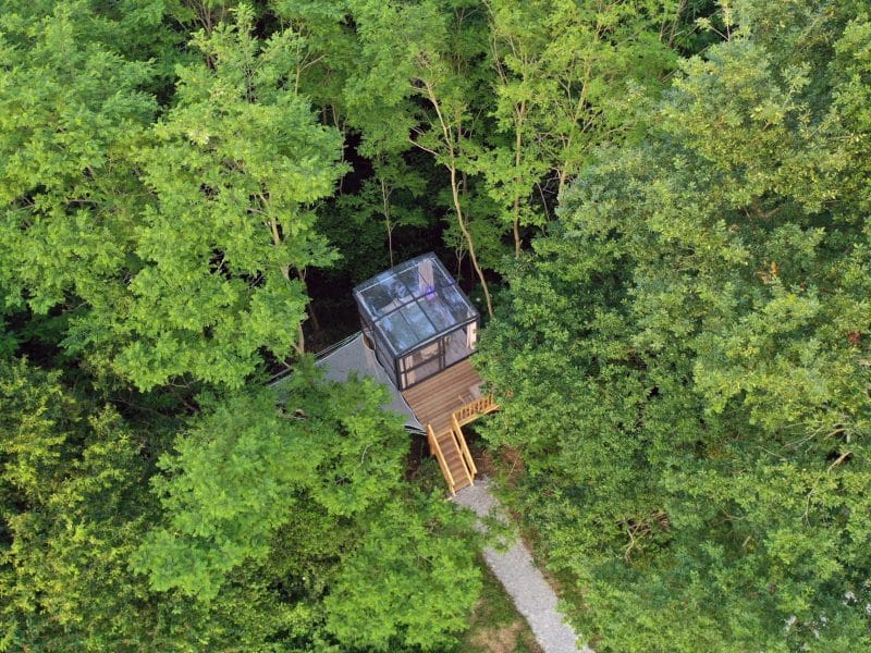 Cabane en bois perchée dans les arbres, avec un toit vitré et accès par un escalier.