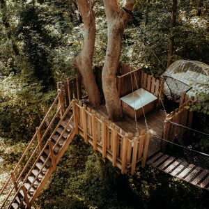 Bulle sanglier mi-hauter à 7m-min