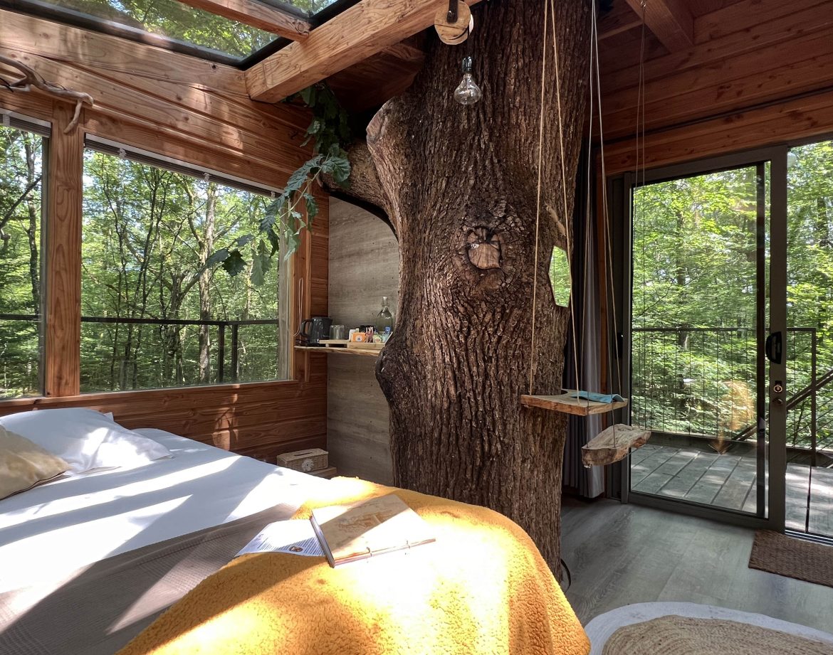 Cabane perchée en bois avec un arbre au centre, vue sur la forêt verdoyante.