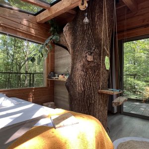 Cabane perchée en bois avec un arbre au centre, vue sur la forêt verdoyante.