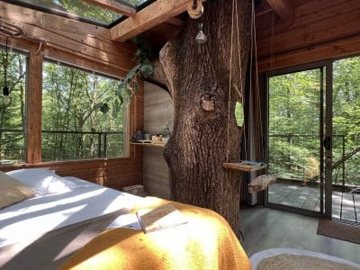Cabane perchée en bois avec un arbre au centre, vue sur la forêt verdoyante.
