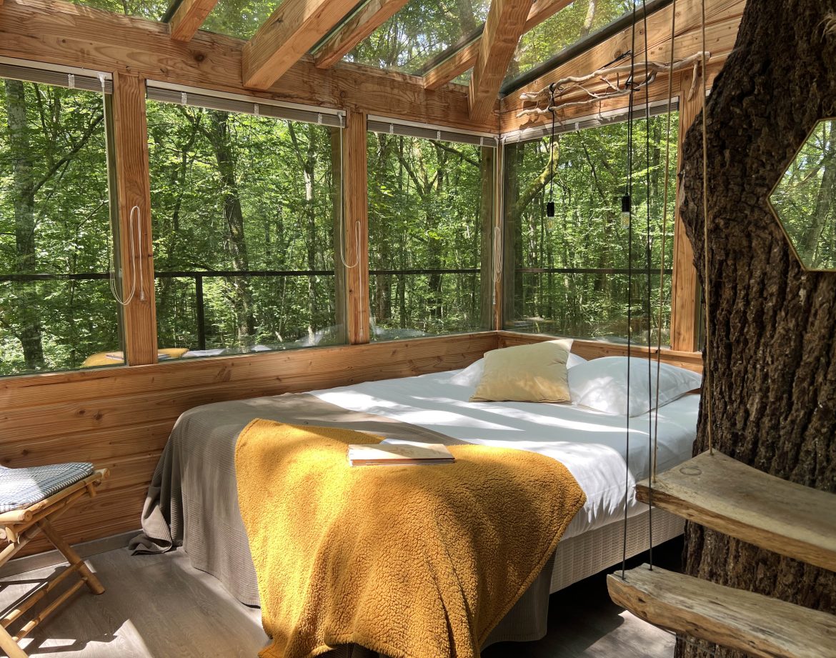 Cabane en bois avec vue sur la forêt, lit confortable et ambiance chaleureuse.