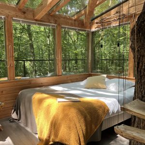 Cabane en bois avec vue sur la forêt, lit confortable et ambiance chaleureuse.