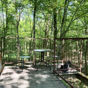 Cabane perchée en Bourgogne avec terrasse en bois entourée de verdure.