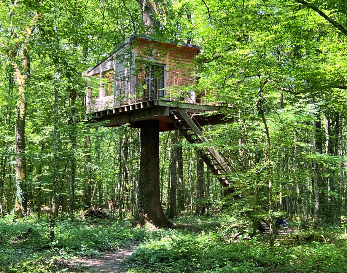 Cabane perchée dans les arbres en Bourgogne, entourée dune verdure luxuriante.
