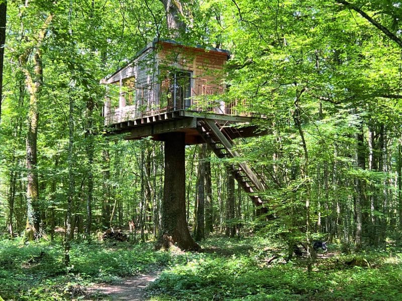 Cabane perchée dans les arbres en Bourgogne, entourée dune verdure luxuriante.