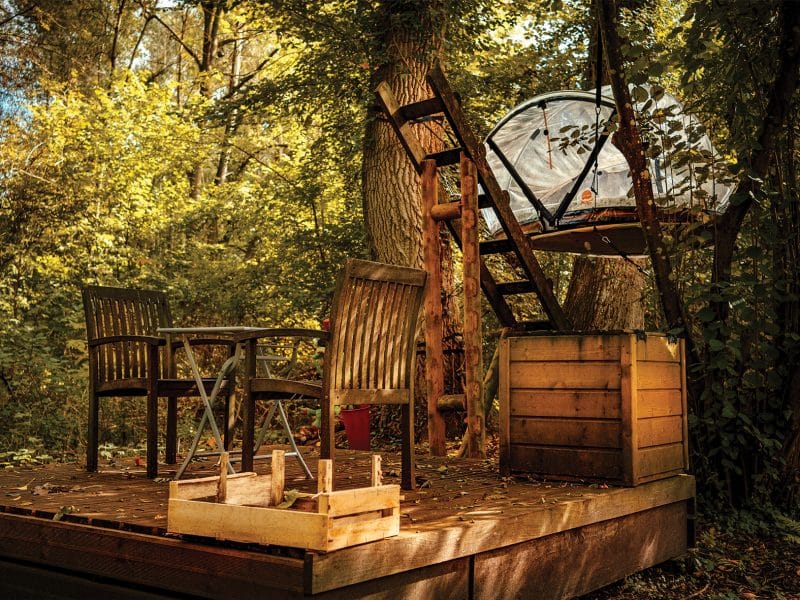 Cabane dans les arbres avec terrasse en bois et chaises, entourée de verdure.