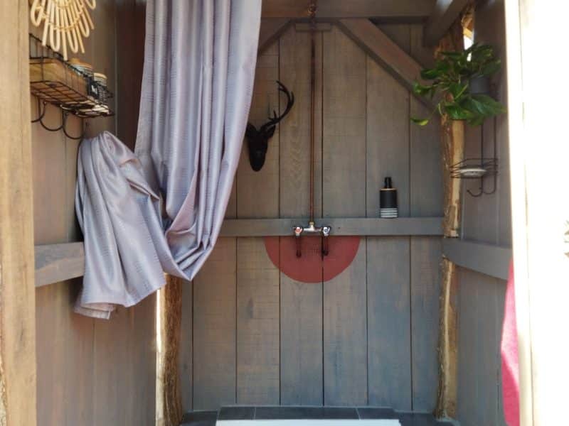 Cabane de jardin avec douche intérieure, décor bois et touche végétale.