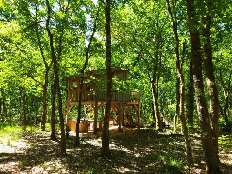 Cabane dans les arbres entourée de verdure, idéale pour un séjour nature.